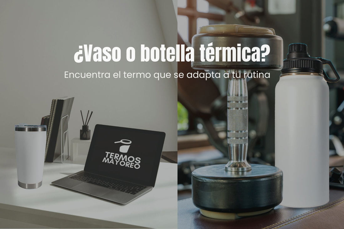 Vasos vs. Botellas térmicas: ¿Cuál elegir según tu estilo de vida?