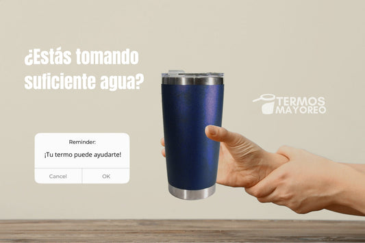 ¿Cuánta agua necesitas al día y cómo un termo puede ayudarte a cumplirlo?